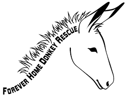 Forever Home Donkey Rescue