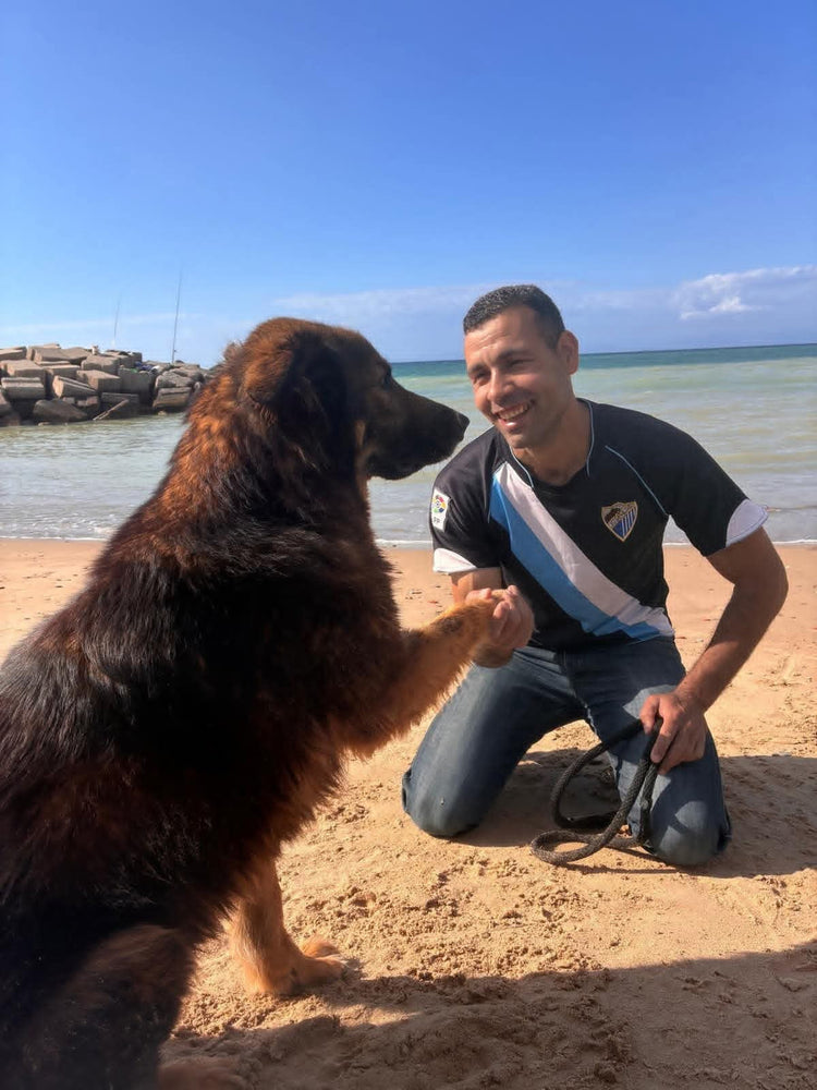 Morocco Mutt Collection