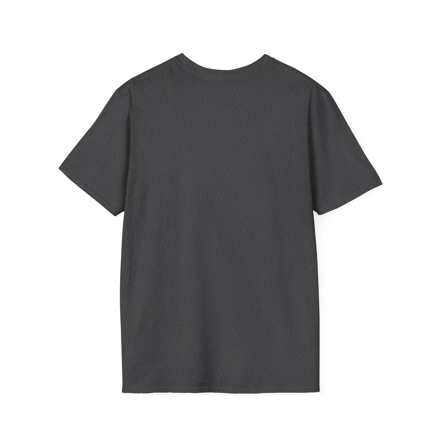 Soccer Balls Graphic T-Shirt — "The Only Balls You Need"